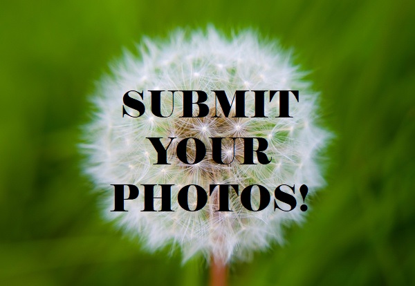 PHOTO CONTEST! - Closed