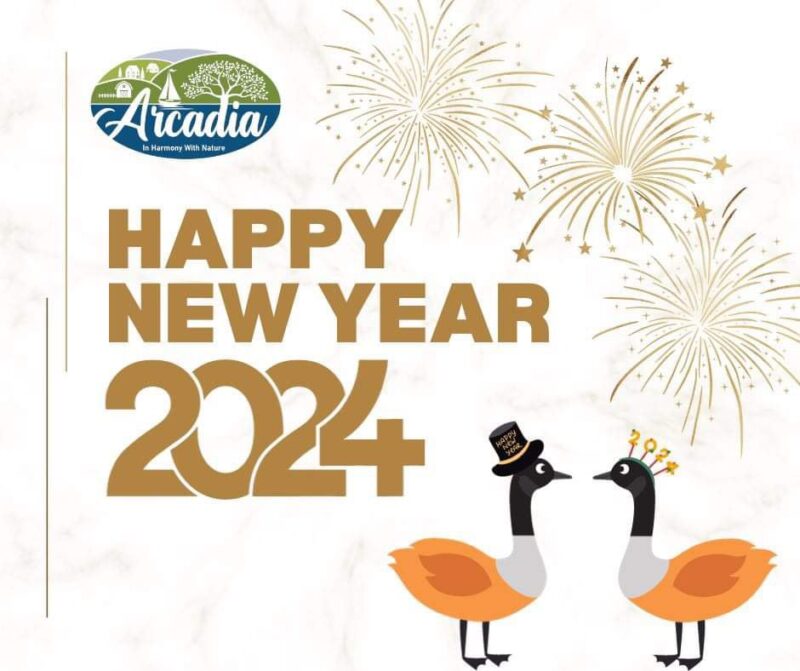 Happy New Year