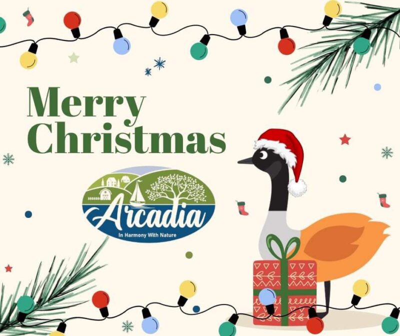 Merry Christmas