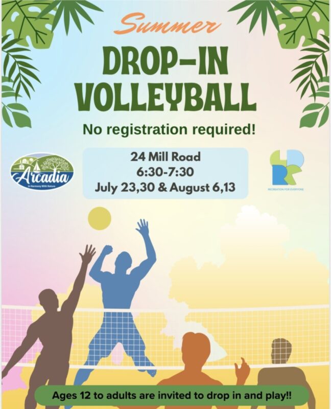 Summer Drop-In Volleyball