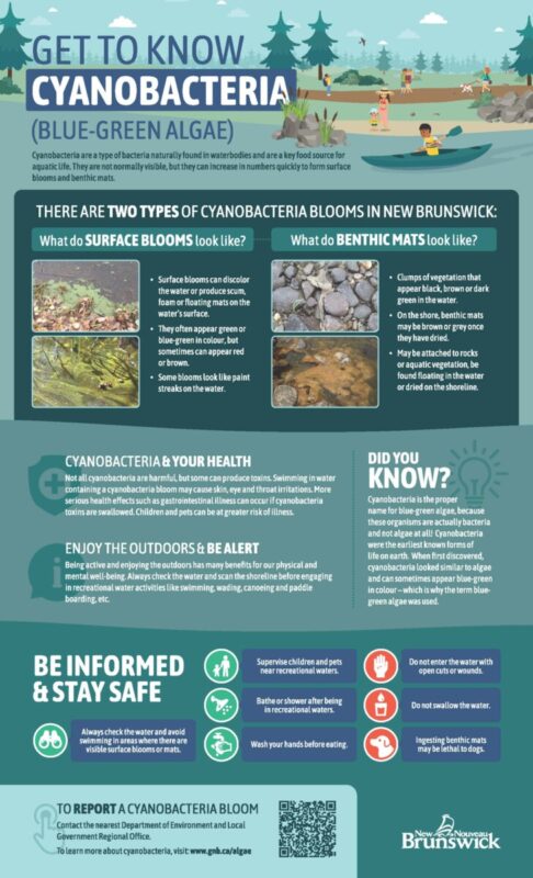 Cyanobacteria (Blue-Green Algae) Reminder